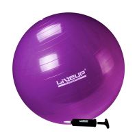 Bola Sui�a Premium - 55cm - Roxa
