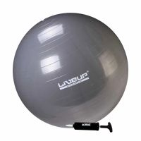 Bola Sui�a Premium - 65cm - Cinza