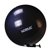 Bola Sui�a Premium - 65cm - Preta