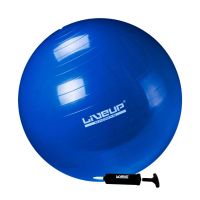 Bola Sui�a Premium - 65cm - Azul