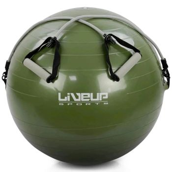 Bola Suiça U - 65cm - com Extensores