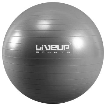 Bola Suiça Premium - 85cm - Cinza