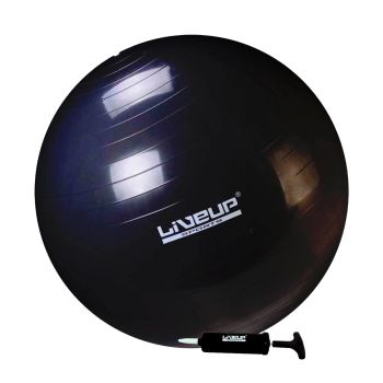 Bola Suiça Premium - 65cm - Preta