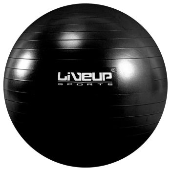 Bola Suiça Premium - 65cm - Preta