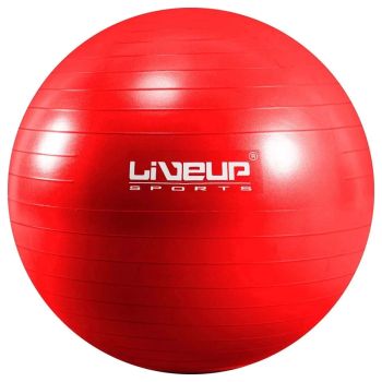 Bola Suiça S - 45cm - Vermelha