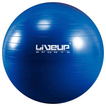Bola Suiça Premium - 65cm - Azul