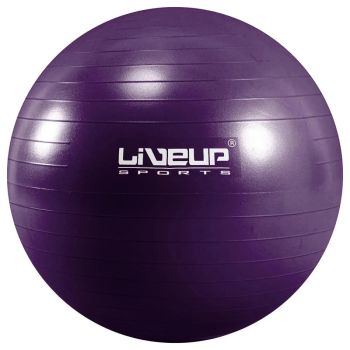 Bola Suiça S - 55cm - Roxa